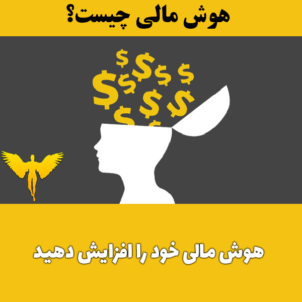 چگونه هوش مالی خود را افزایش دهیم