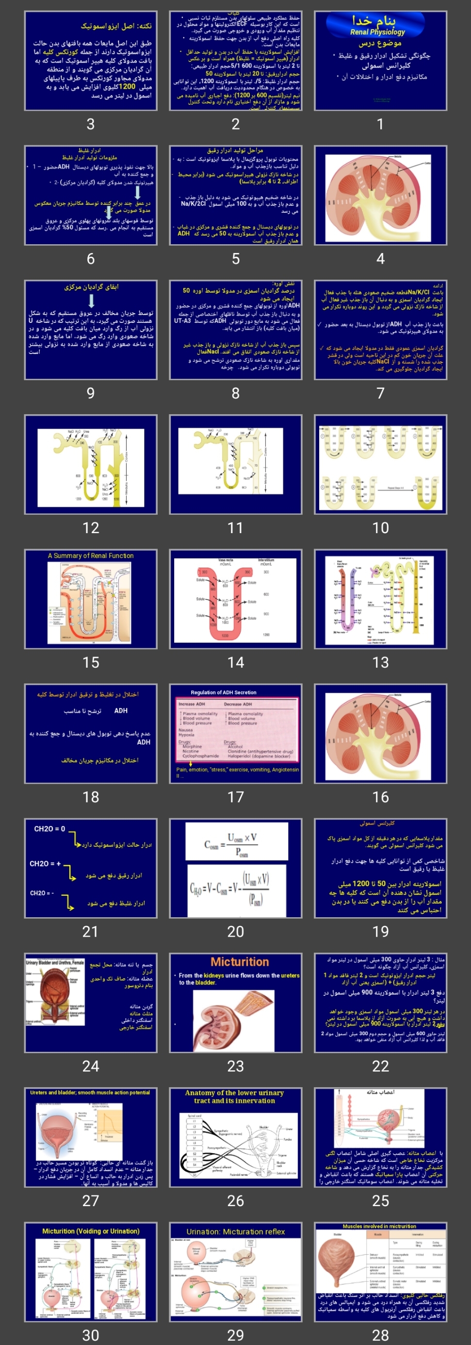 پاورپوینت چگونگی تشکیل ادرار رقیق و غلیظ، کلیرانس اسمولی، مکانیزم دفع ادرار و اختلالات آن