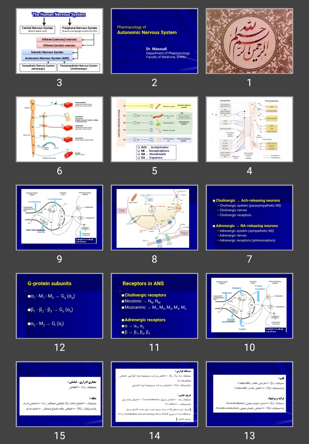 پاورپوینت Pharmacology of Autonomic Nervous System