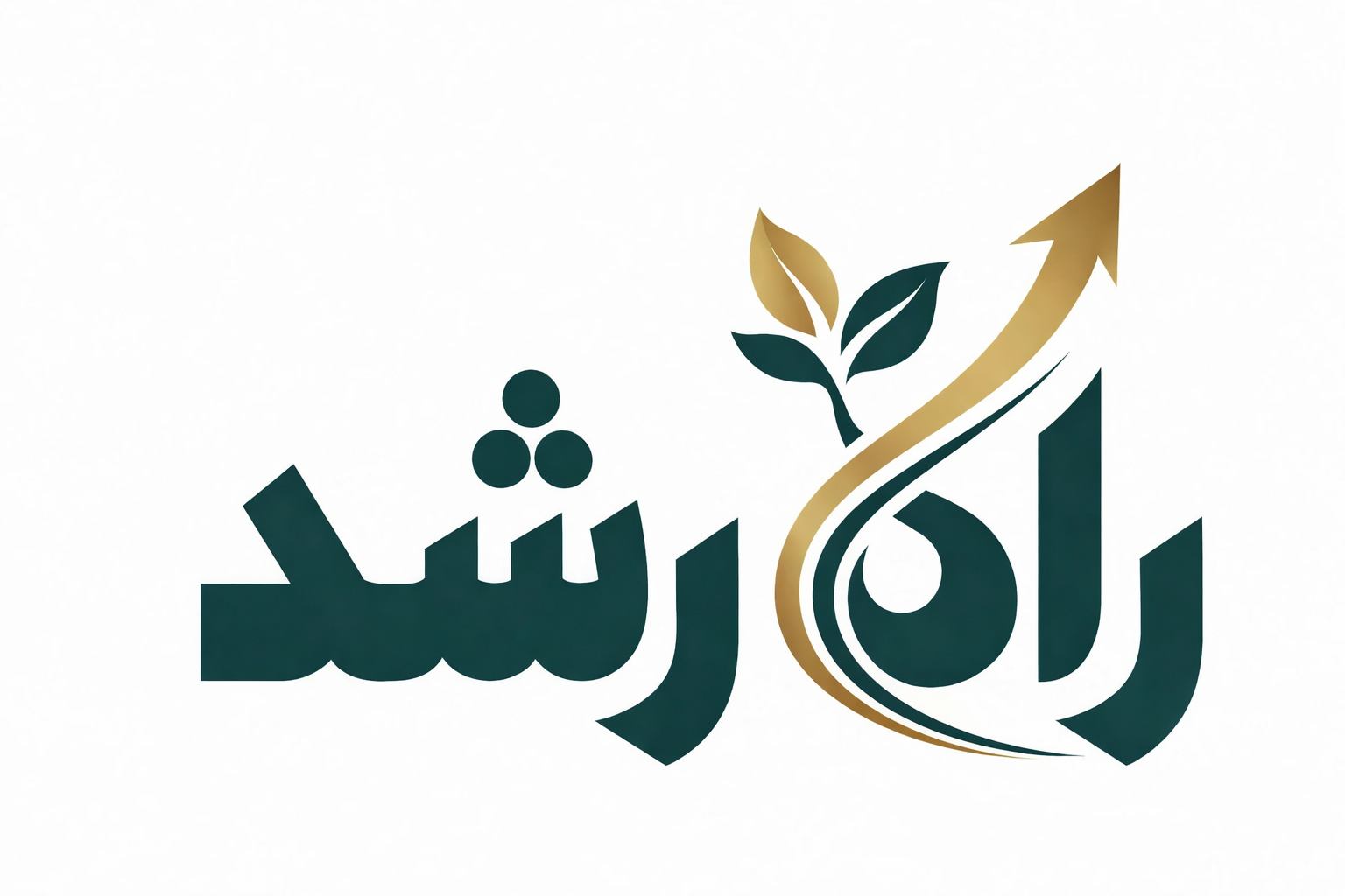 راه رشد