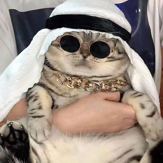 Mo.Mo